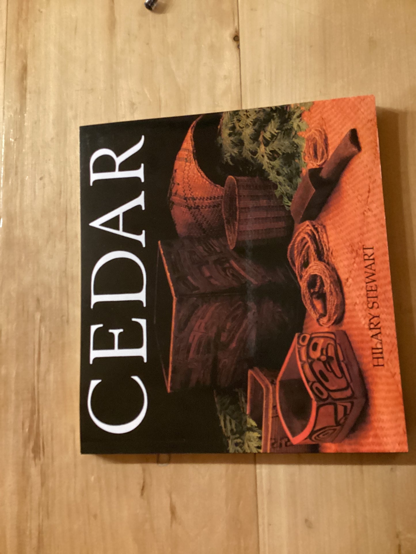 Cedar by Hilary Stewart