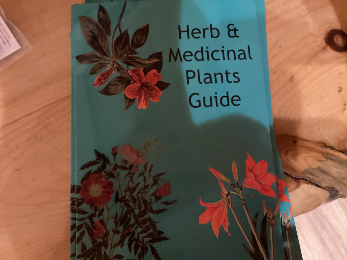 Herb and Medicinal Plants Guide