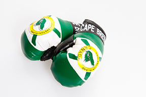 Cape Breton Auto Accessory Boxing Gloves