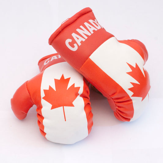 Canada Auto Accessory Boxing Gloves