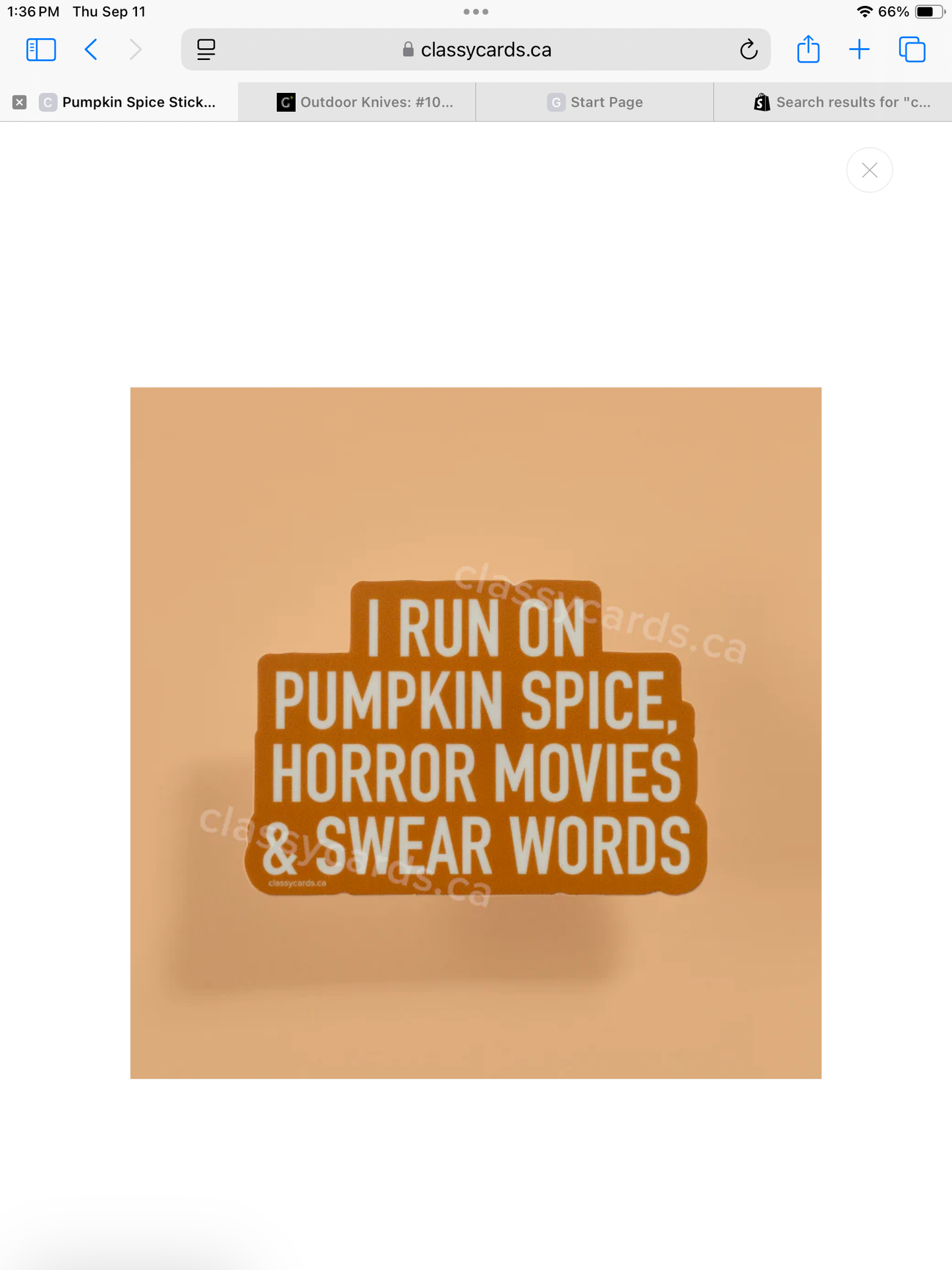 Pumpkin Spice Sticker