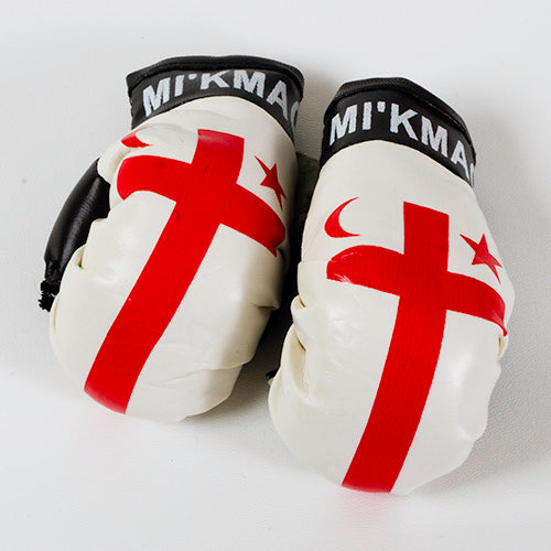 Mi’kmaq Auto Accessory Boxing Gloves