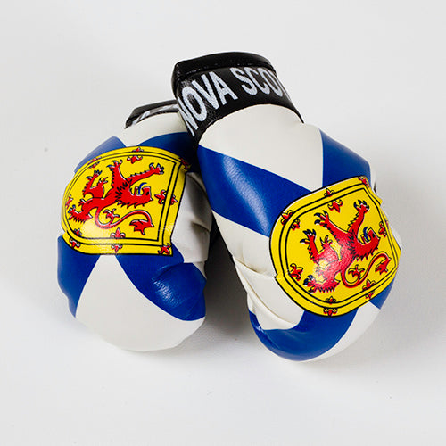 Nova Scotia Auto Accessory Boxing Gloves