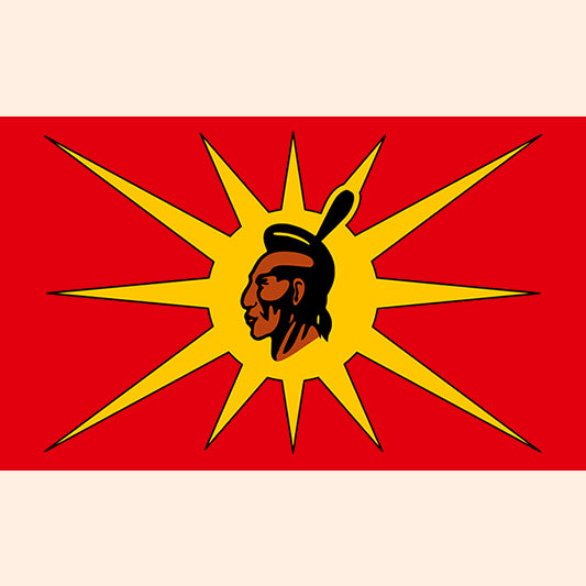 Mohawk Warrior 36×60 Flag