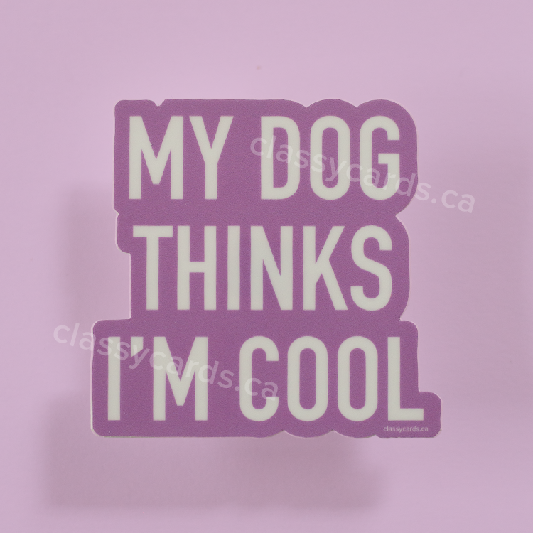 Dog Thinks Cool Sticker